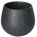 [C099-06BBS]  Nutty Tasting Cup150ml BASALT BREWERS